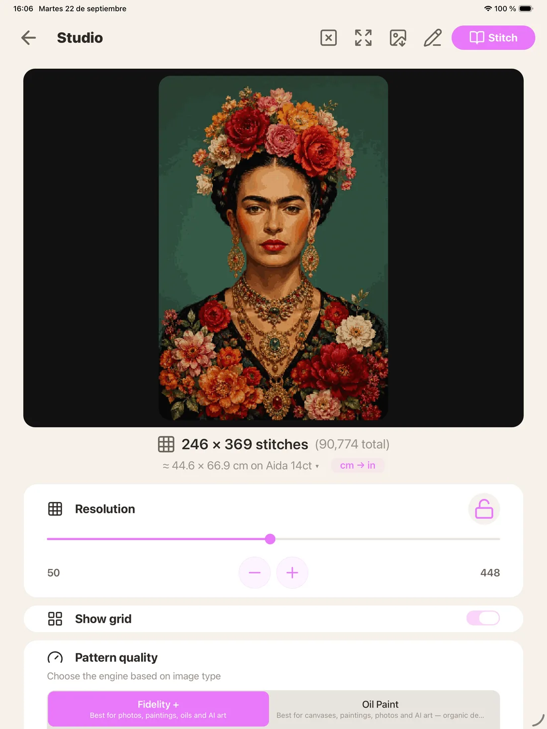 Pattern Studio with a portrait already turned into a pattern: 246 × 369 stitches, 44.6 × 66.9 cm on Aida 14ct, the resolution control and the pattern quality selector.